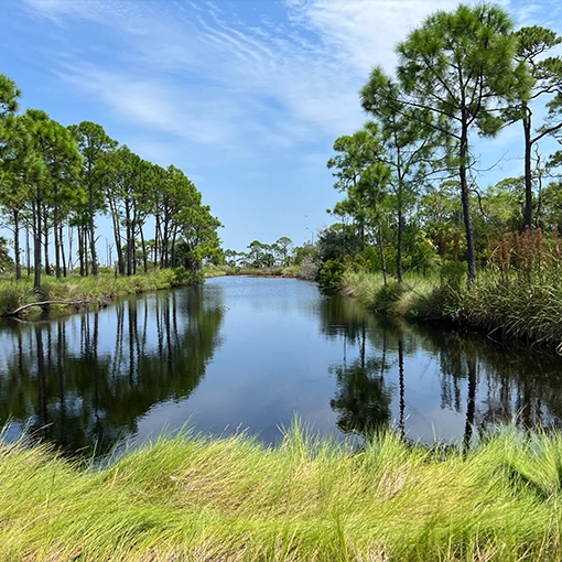 St. George Island