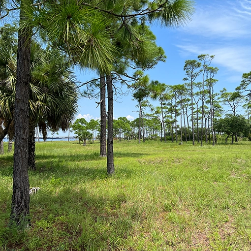 St. George Island